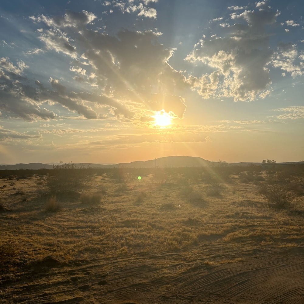 Meet your Posher, Steph